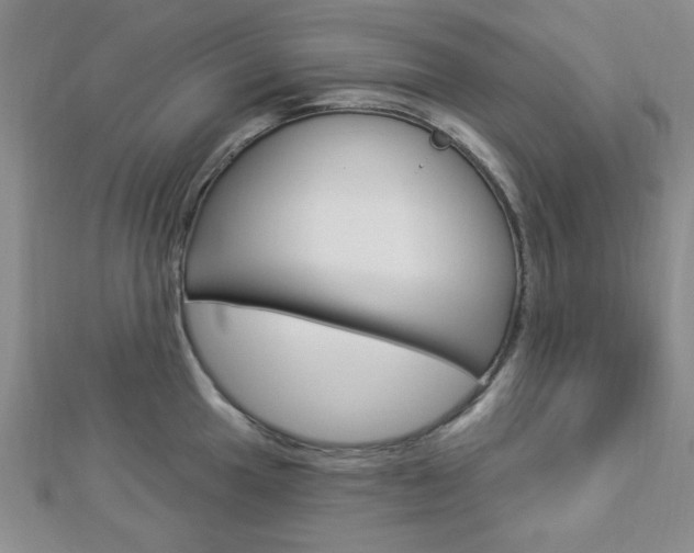 X0000112911049200908241003