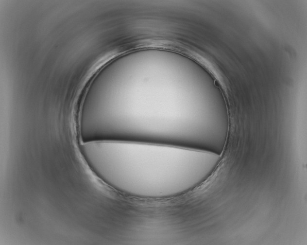 X0000112911050200908241003