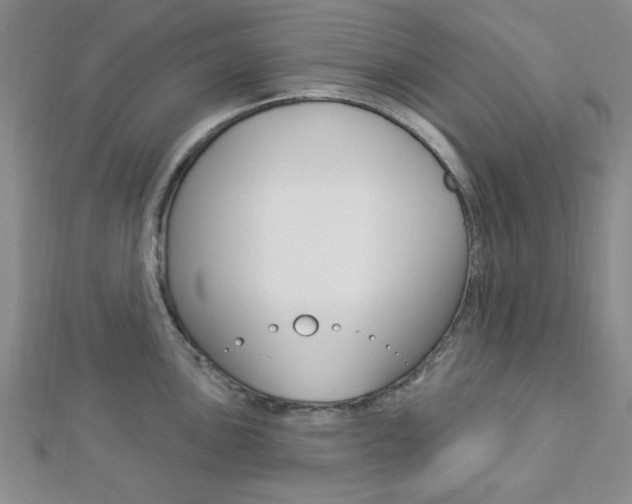 X0000112911051200908241003