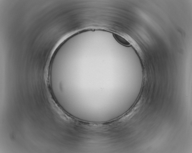 X0000112911052200908241003