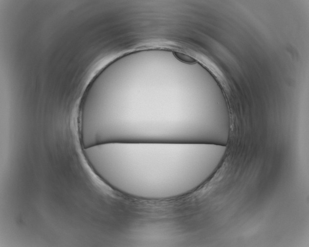 X0000112911055200908241003