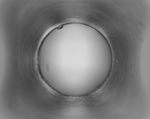 X0000112911056200908241003