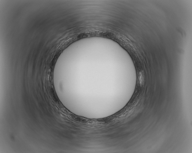 X0000112911059200908241003