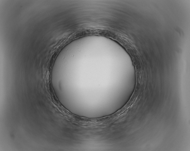 X0000112911061200908241002