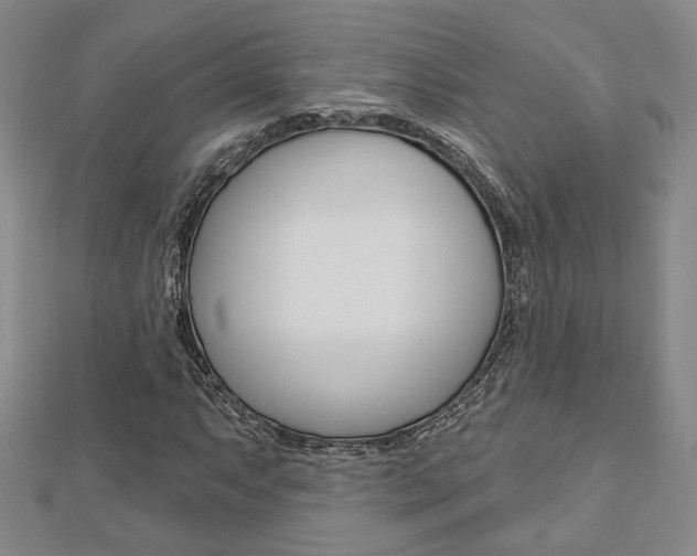 X0000112911063200908241002