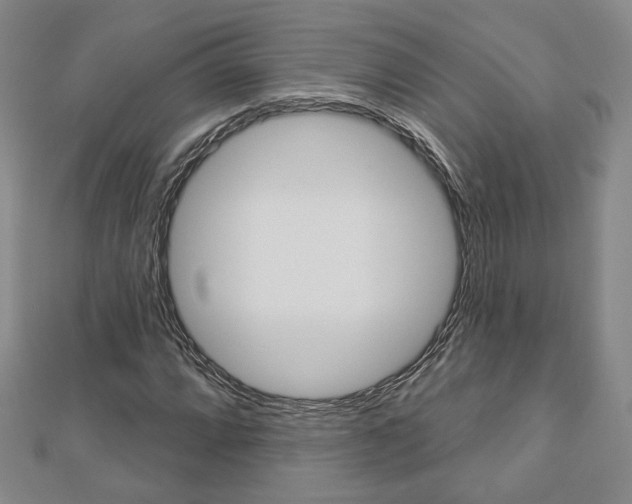 X0000112911064200908241002