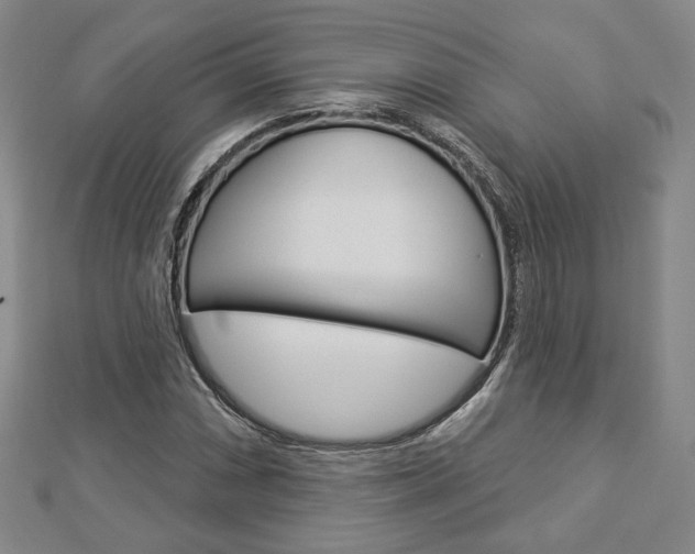 X0000112911066200908241002