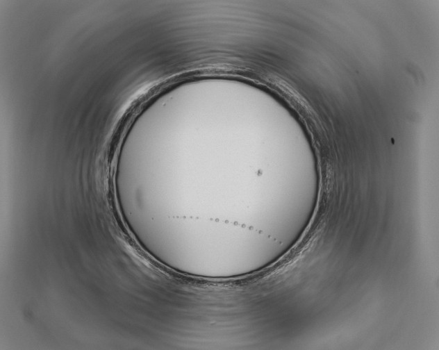X0000112911067200908241002