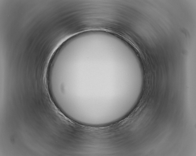 X0000112911068200908241002