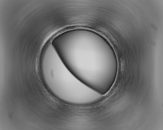 X0000112911069200908241002