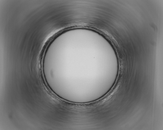 X0000112911070200908241002