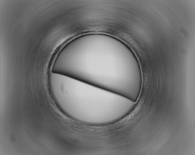 X0000112911071200908241002