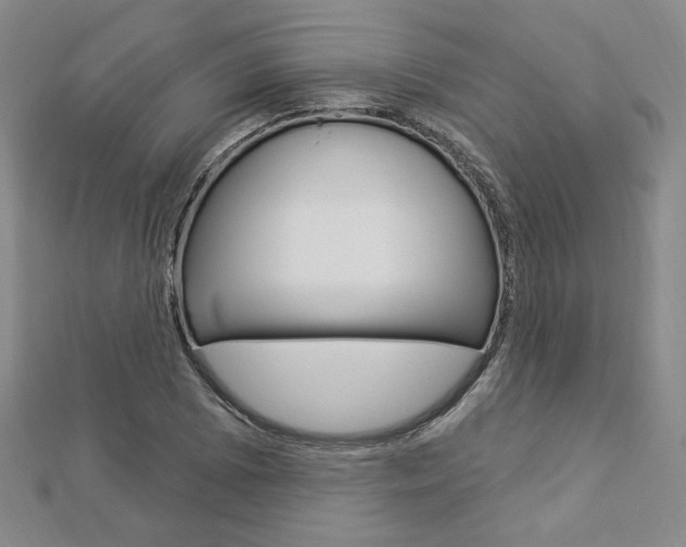 X0000112911073200908241002