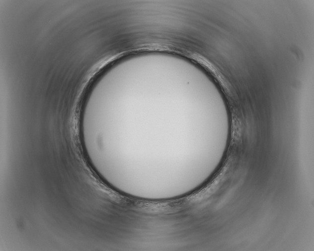 X0000112911074200908241002