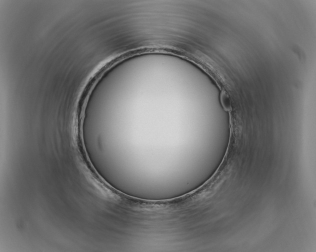 X0000112911076200908241002