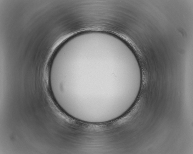 X0000112911078200908241002