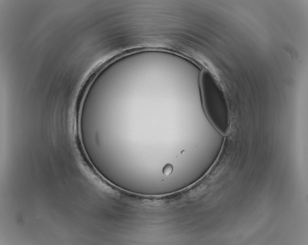 X0000112911080200908241002
