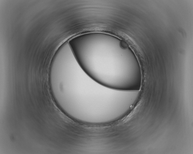 X0000112911081200908241002