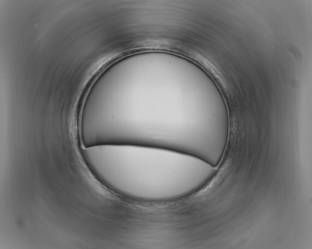 X0000112911082200908241002