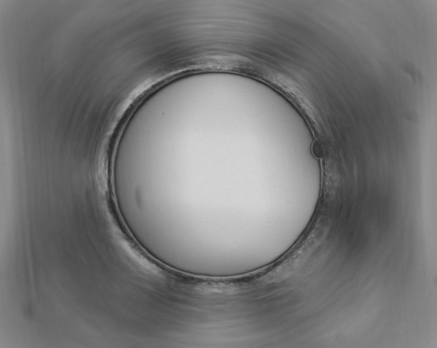 X0000112911083200908241002