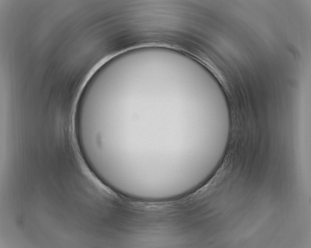 X0000112911084200908241002
