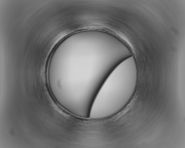 X0000112911087200908241002