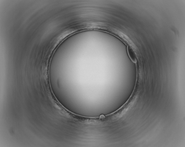 X0000112911089200908241002