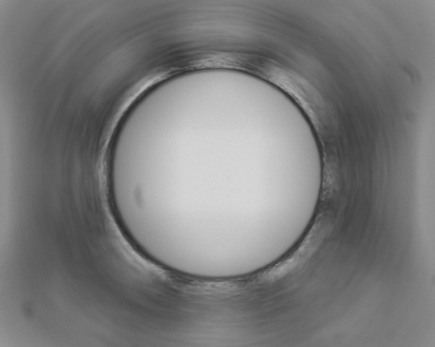 X0000112911090200908241002