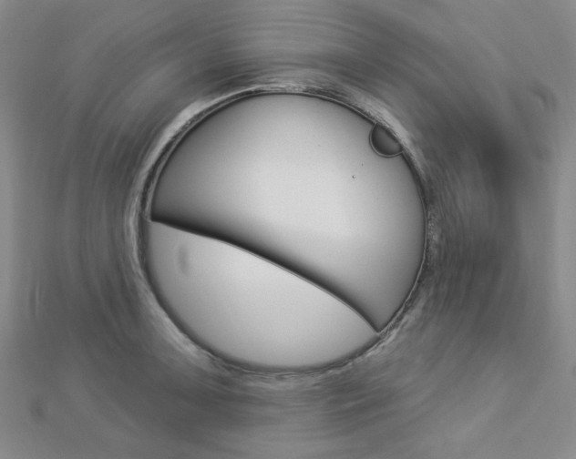 X0000112911091200908241002