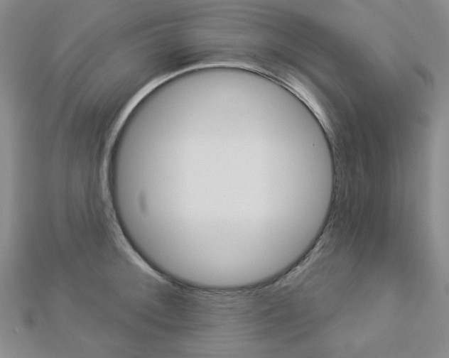 X0000112911092200908241002
