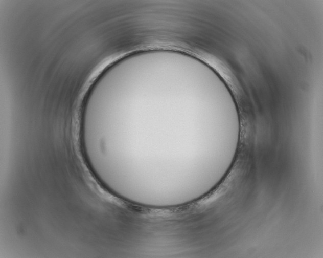X0000112911094200908241002