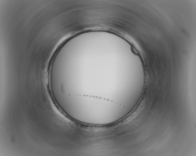 X0000112911095200908241002