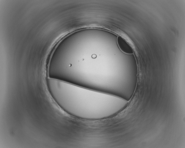 X0000112911096200908241002
