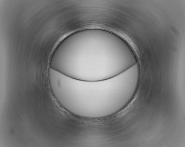 X0000112911097200908241002