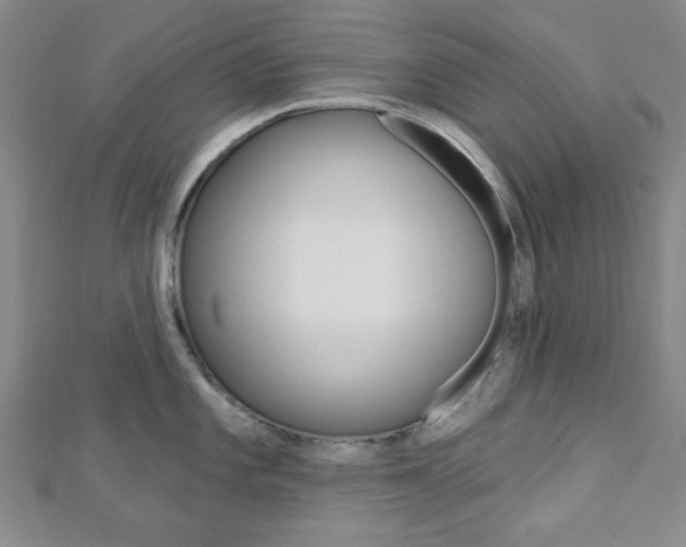 X0000112911101200908241002