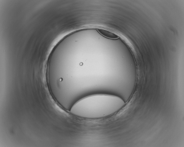 X0000112911102200908241002