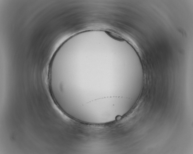 X0000112911103200908241002