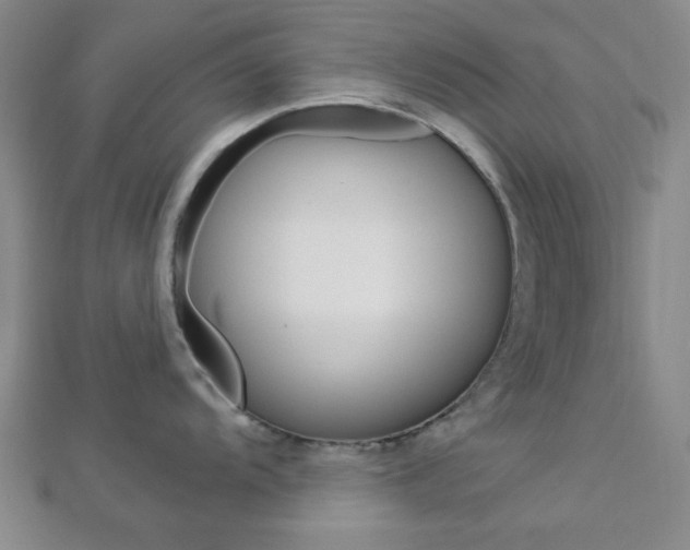 X0000112911104200908241002