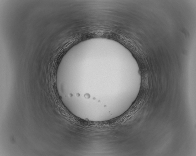 X0000112911105200908241001