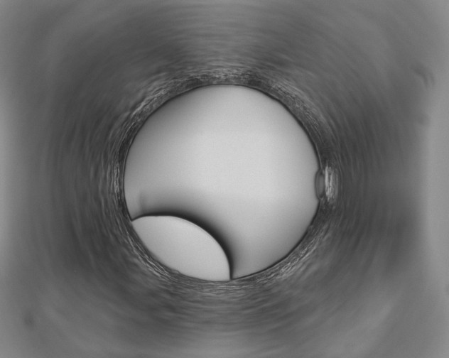 X0000112911107200908241001