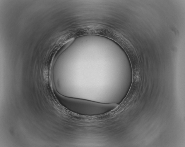 X0000112911108200908241001