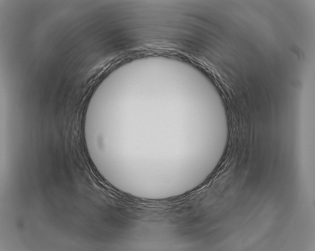 X0000112911110200908241001