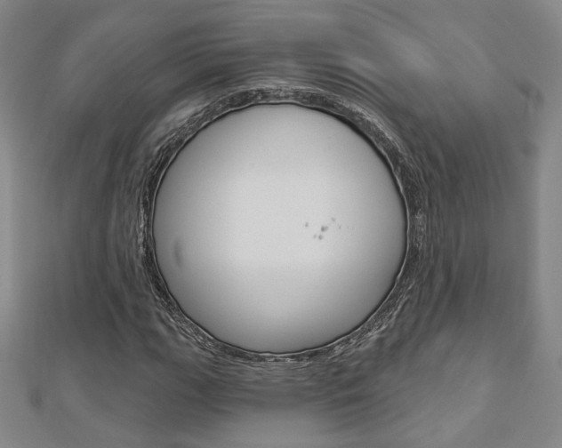 X0000112911111200908241001