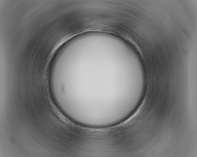 X0000112911114200908241001