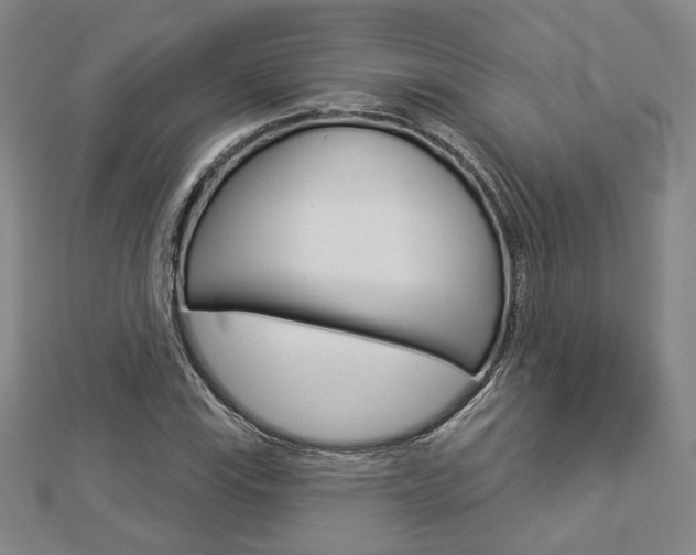 X0000112911115200908241001