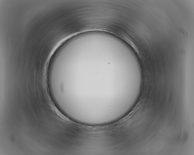 X0000112911116200908241001