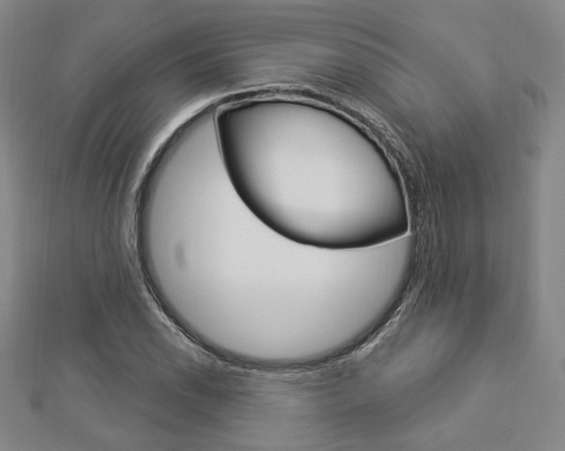 X0000112911118200908241001