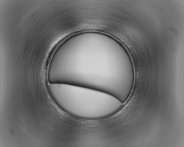 X0000112911119200908241001