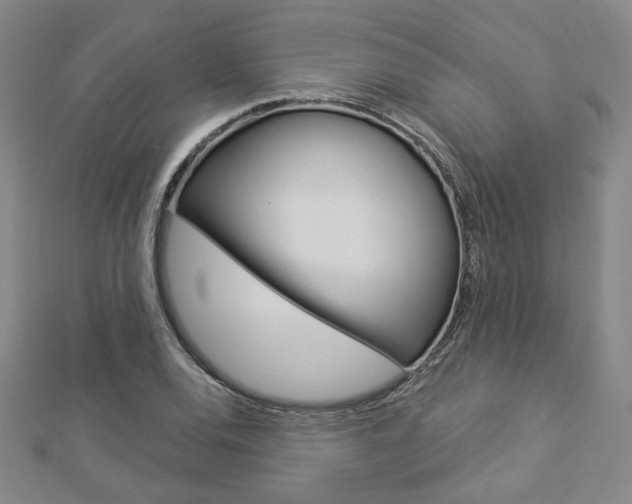 X0000112911120200908241001