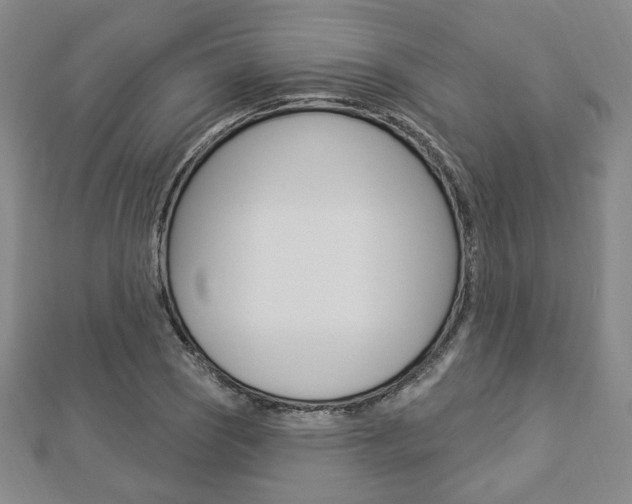 X0000112911121200908241001